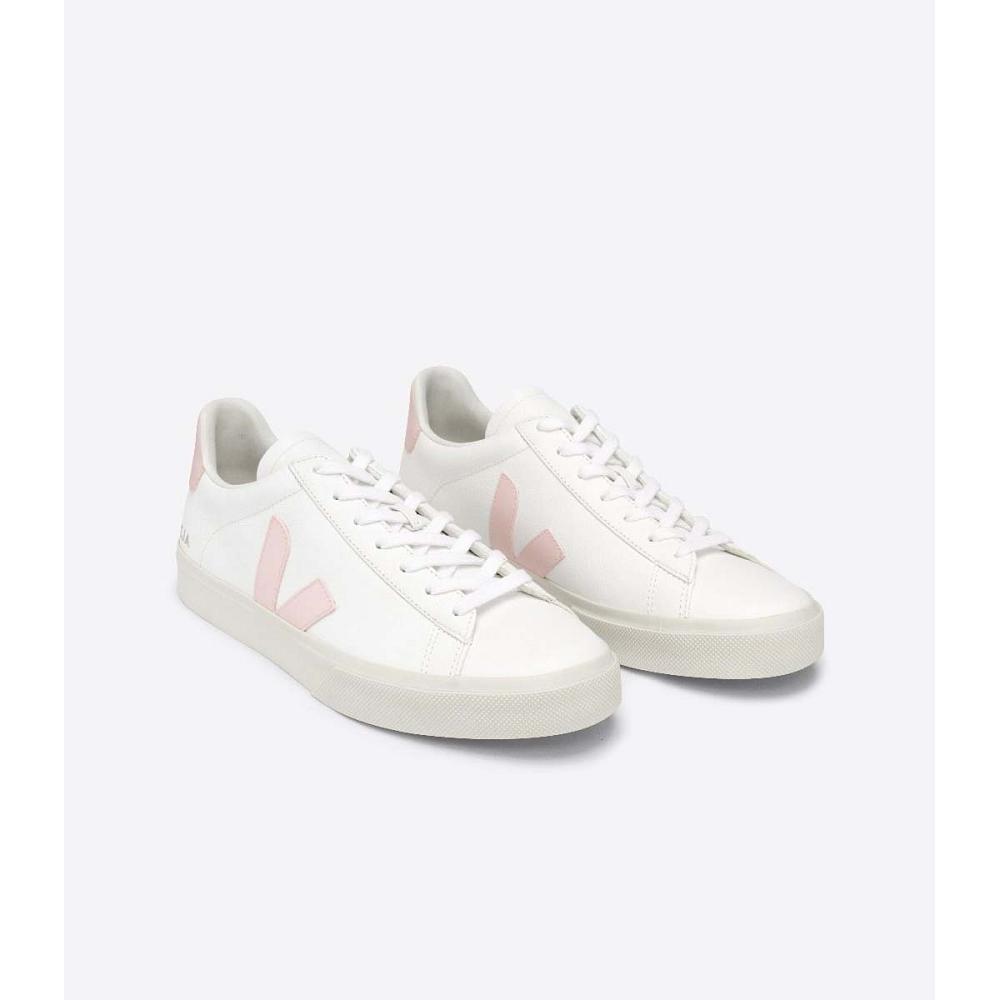 Women's Veja CAMPO CHROMEFREE Low Tops Sneakers White/Pink | ZA 463KOR